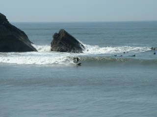 Steve surfing